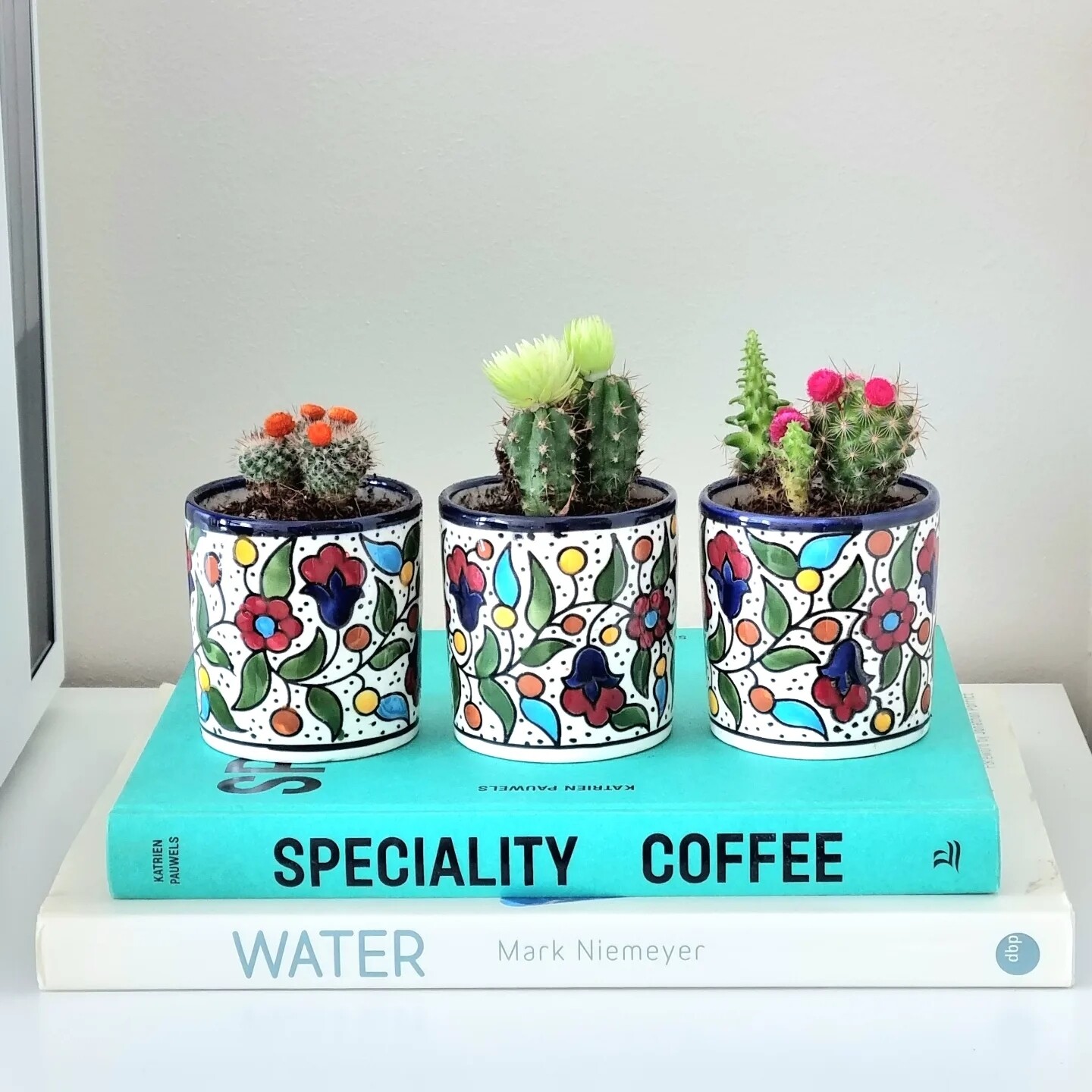 Set of 3 cactus pots