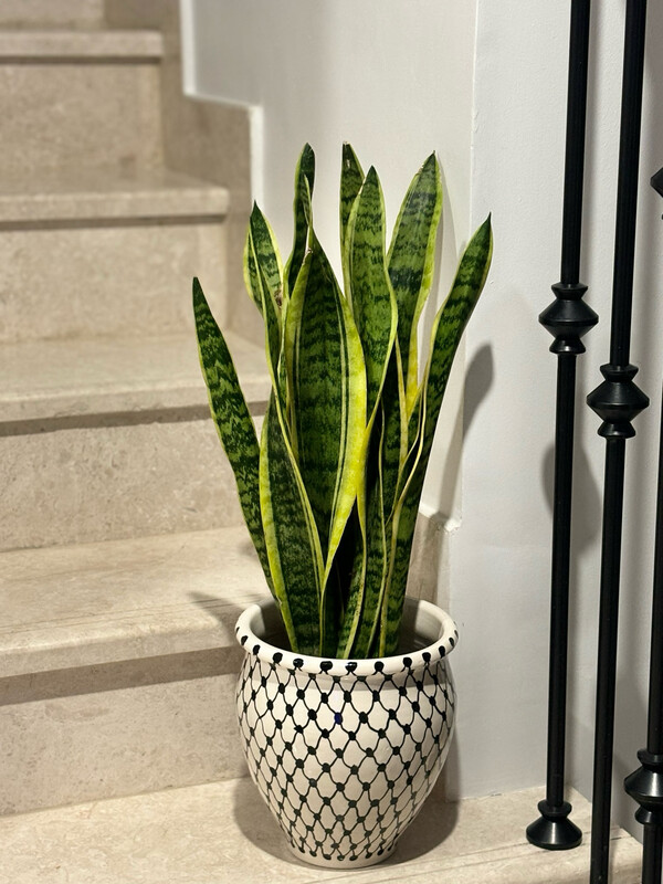 Plant Pot Large Kuffiya Pattern