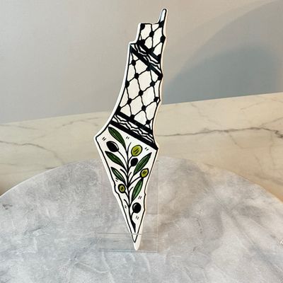 Large Olive and Kuffiya Paint Palestine Hanging Map