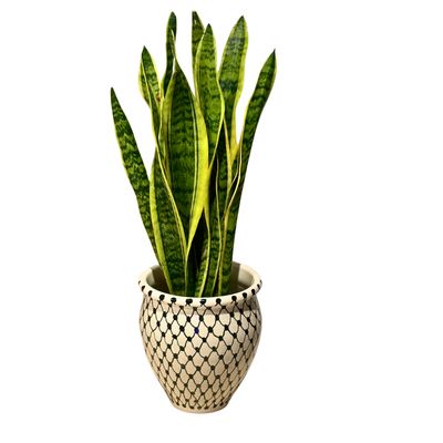 Plant Pot Large Kuffiya Pattern