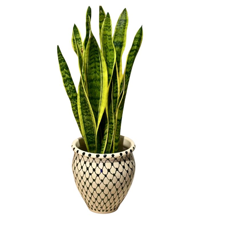 Plant Pot Large Kuffiya Pattern