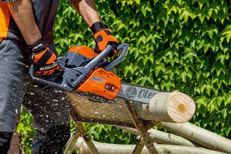 Motoseghe e Tagliasipepi