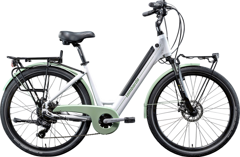 Bicicletta Pedalata Assistita Trastevere Agevole 26