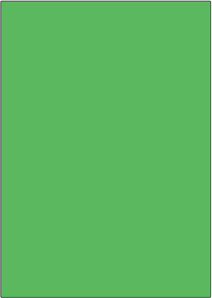 LCI grün matt / permanent / A4 / 210 x 297 mm  / 100 Blatt