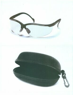 Safety Glasses and Case