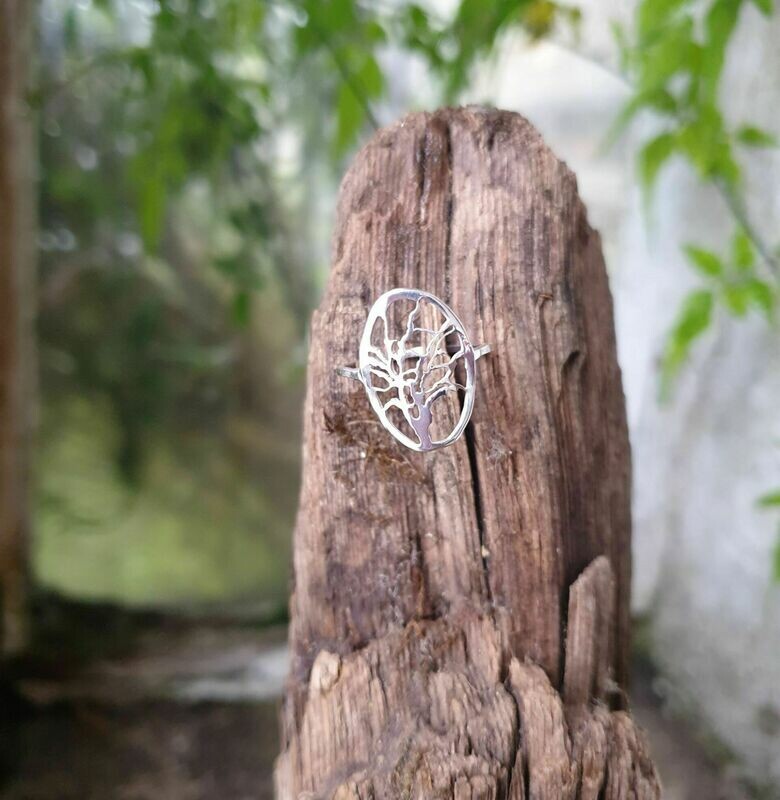 R119 Ash Tree ring