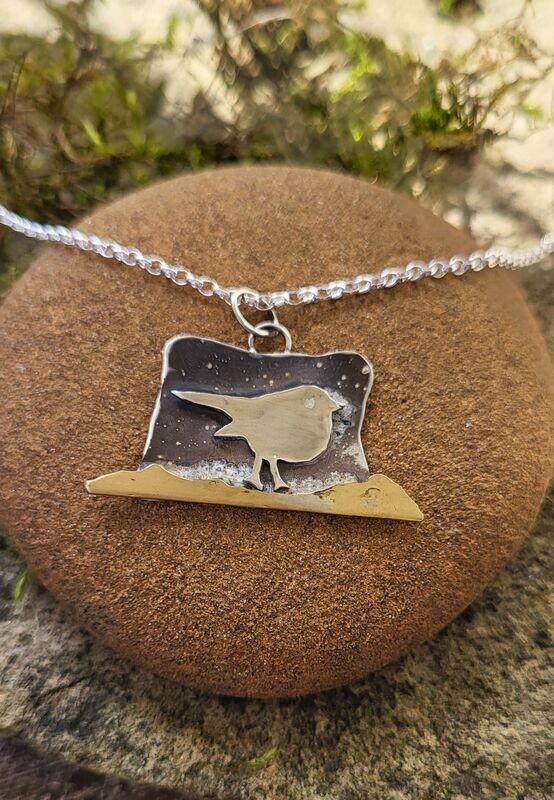 N1278 Robin at the Starry Dusk pendant