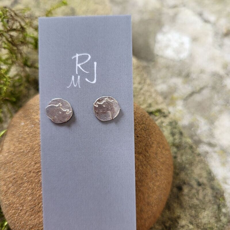 1489 Rhino Portrait studs