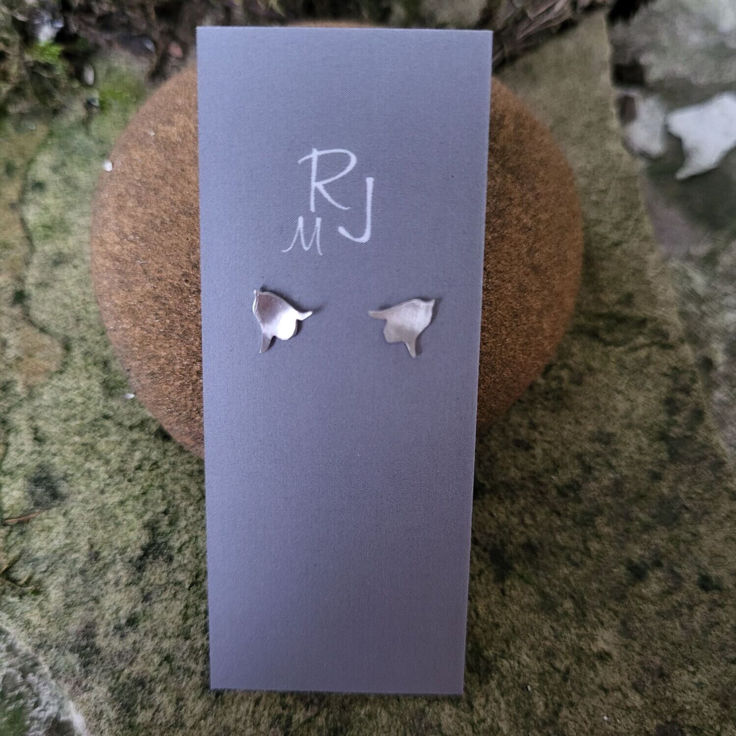 2564 Harebell studs
