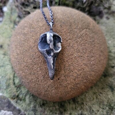 N1659 Aged Medium Corvid Skull pendant