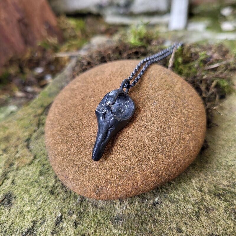 N1668 Aged Medium Corvid Skull pendant