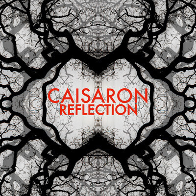 Reflection