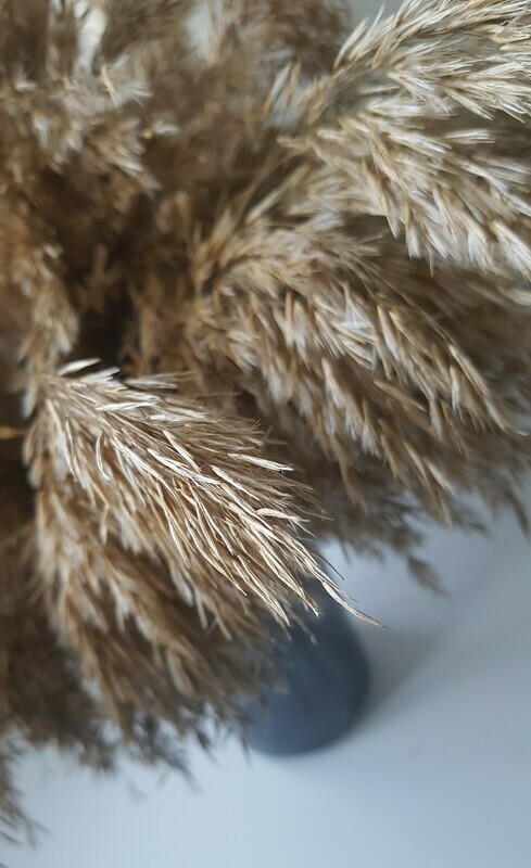 Em&#39;s Fluffy Pampas