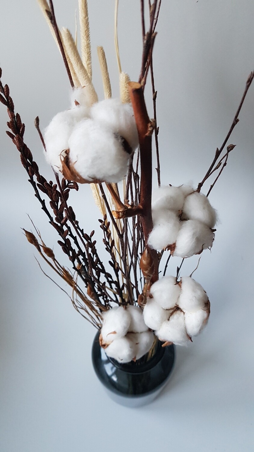 Natural Cotton Mini Bunch
