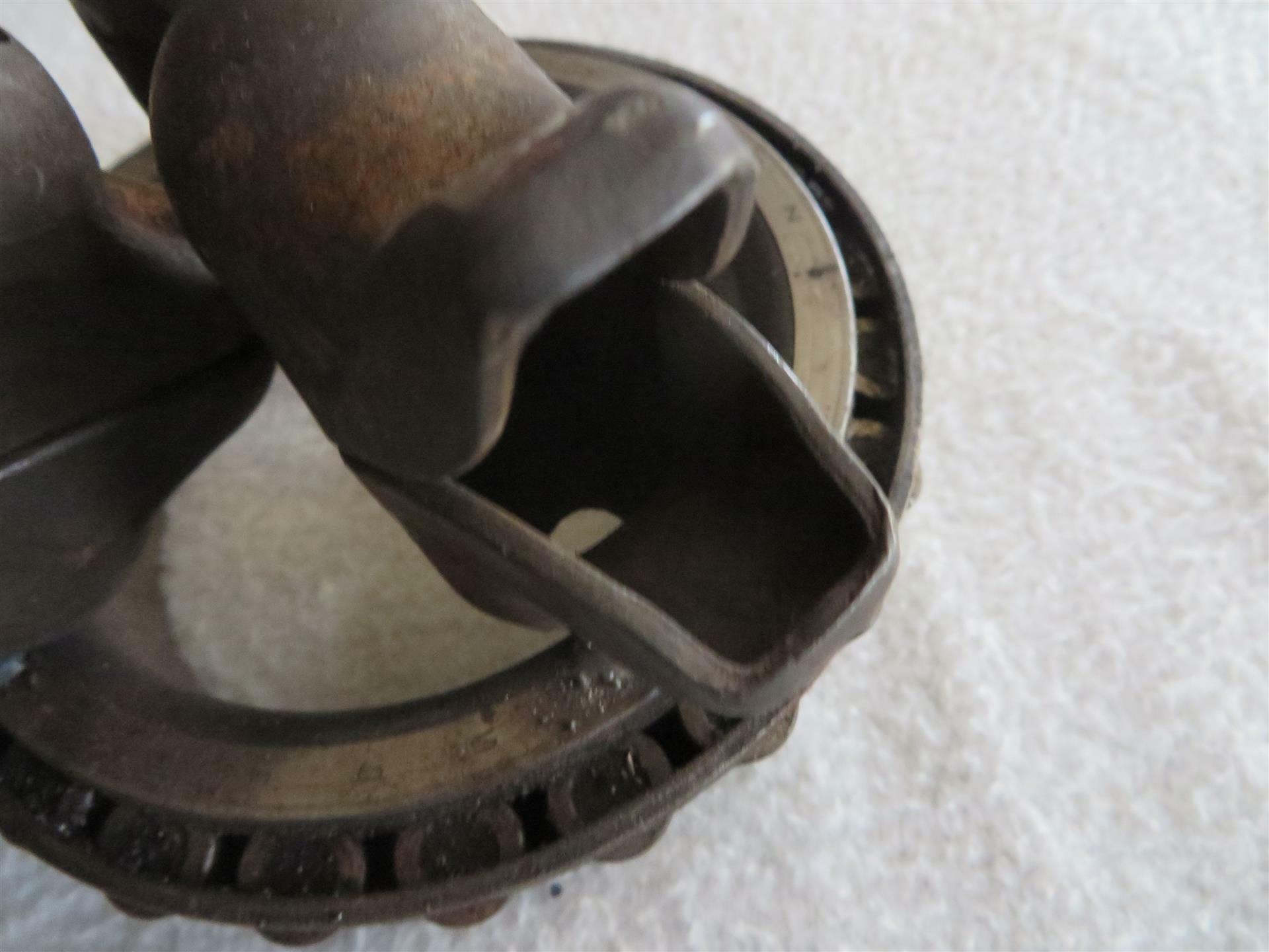 MRhevyshevy's Baby Birds in a Nest