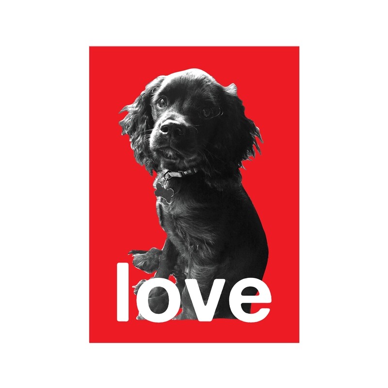 Unconditional love