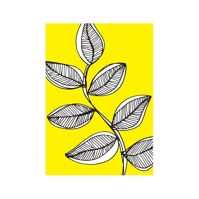 Leaves