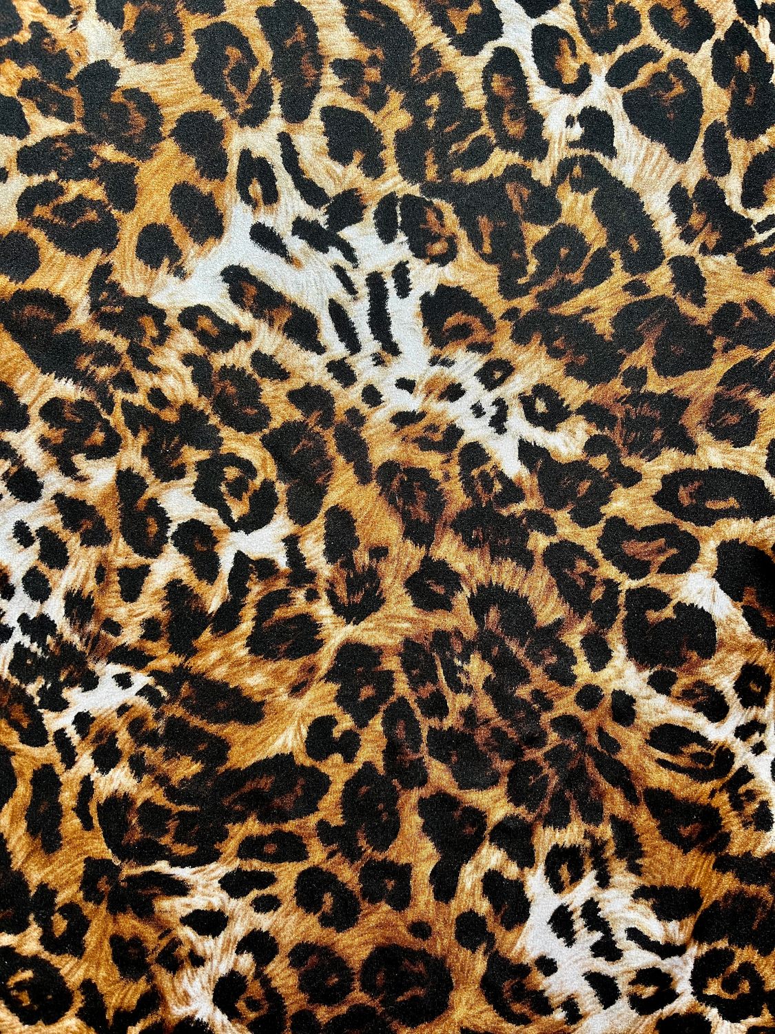 LEOPARDO