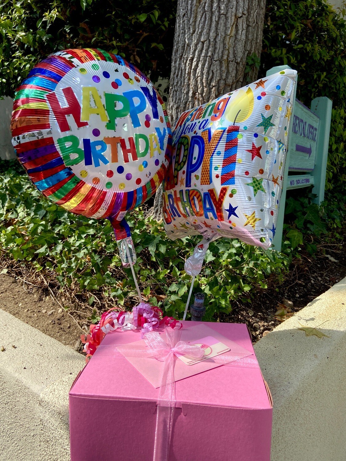 VIP Celebration Package