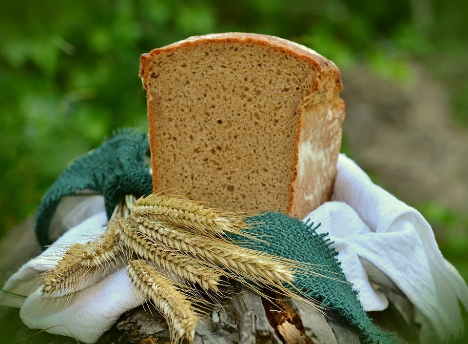 Wisdom of the Corn Mother Retreat Wisdom of the Corn Mother Retreat