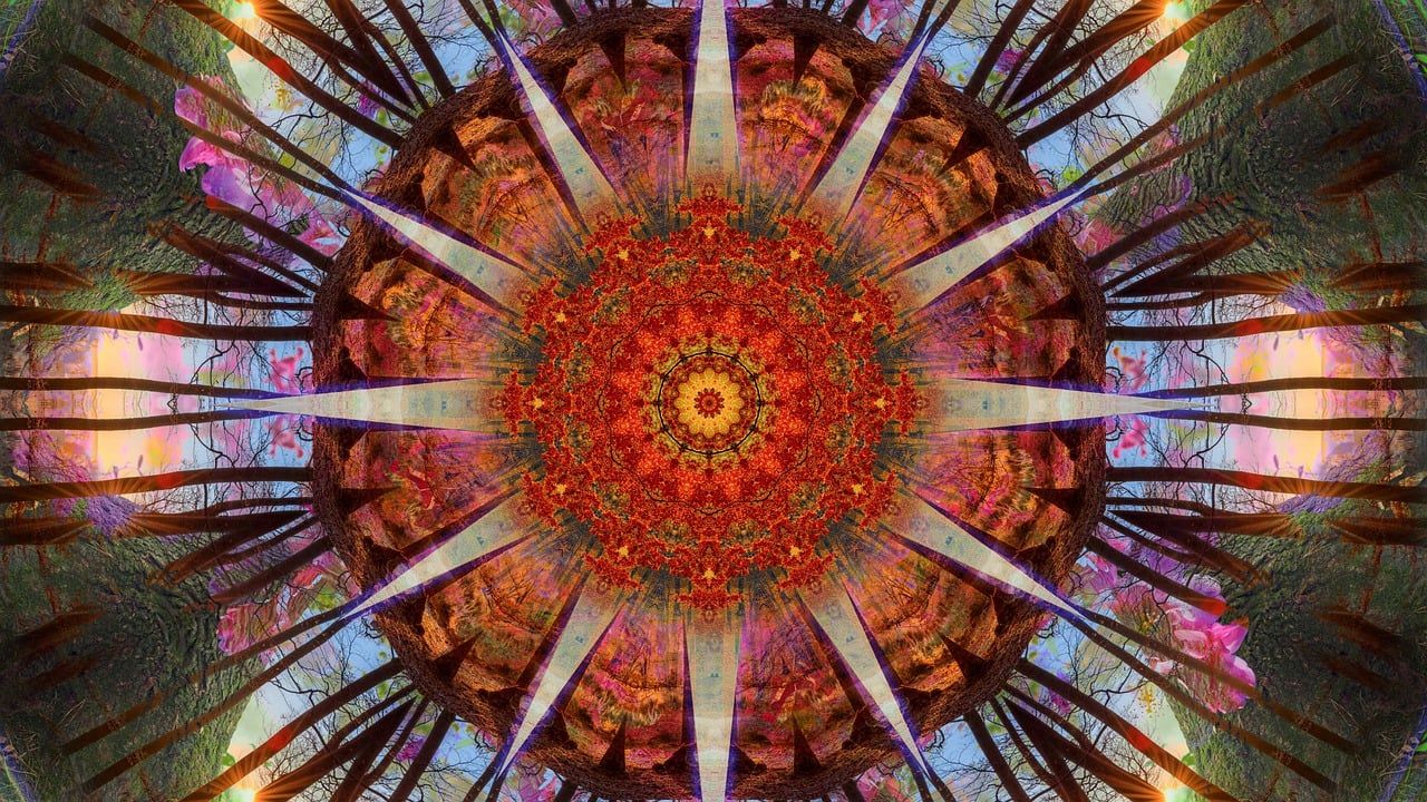 The Mushroom Cave Integration Circle (June 17)