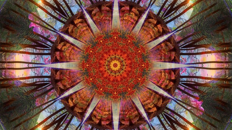 The Mushroom Cave Integration Circle (June 17)