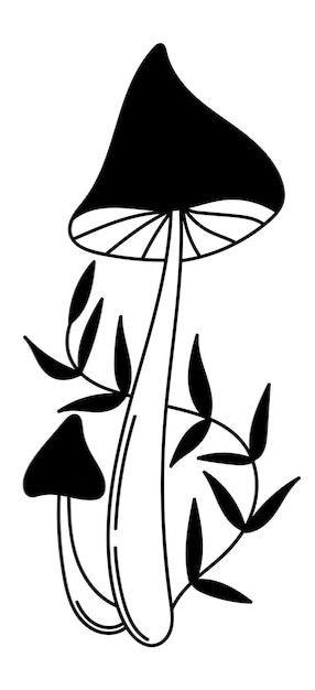 [Recording] Microdosing Webinar: Safety, Science &amp; Ritual