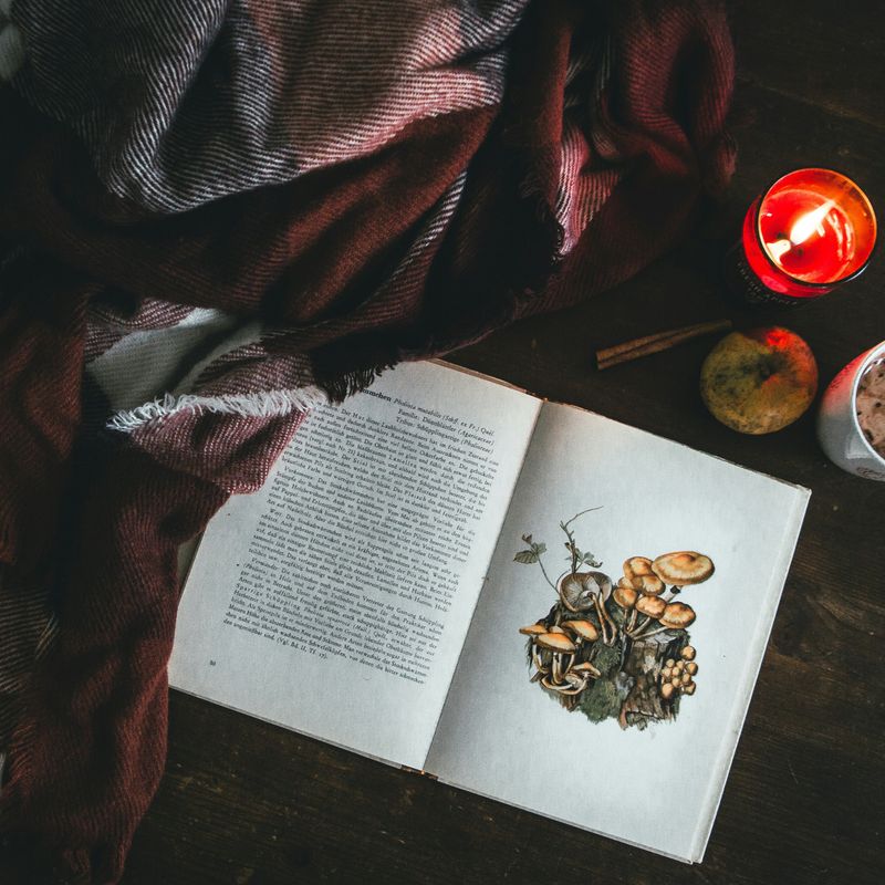 Virtual Open House (Jan 13, 2026)