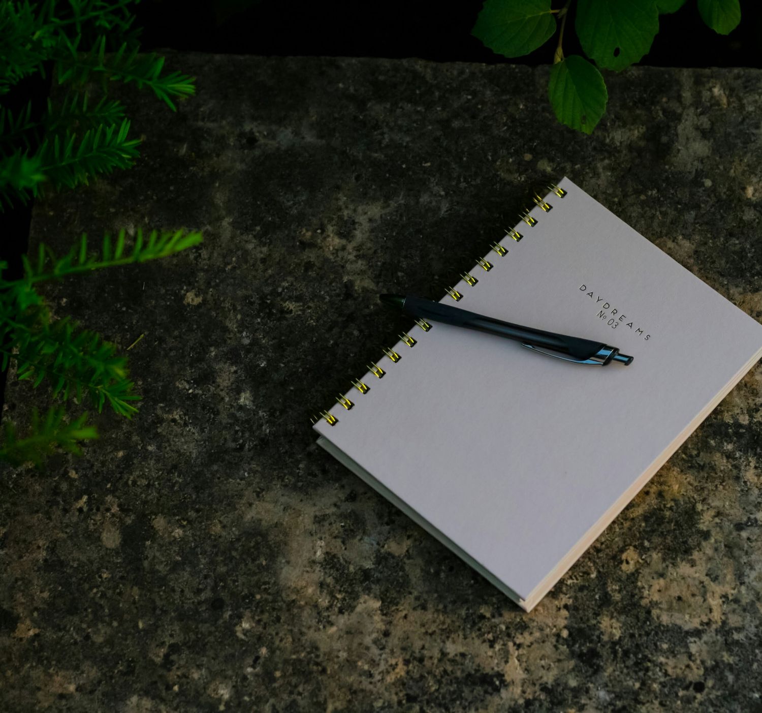 Wild Medicine Writing Workshop (Feb 12)