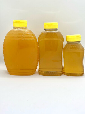 Honey Squeeze Bottles