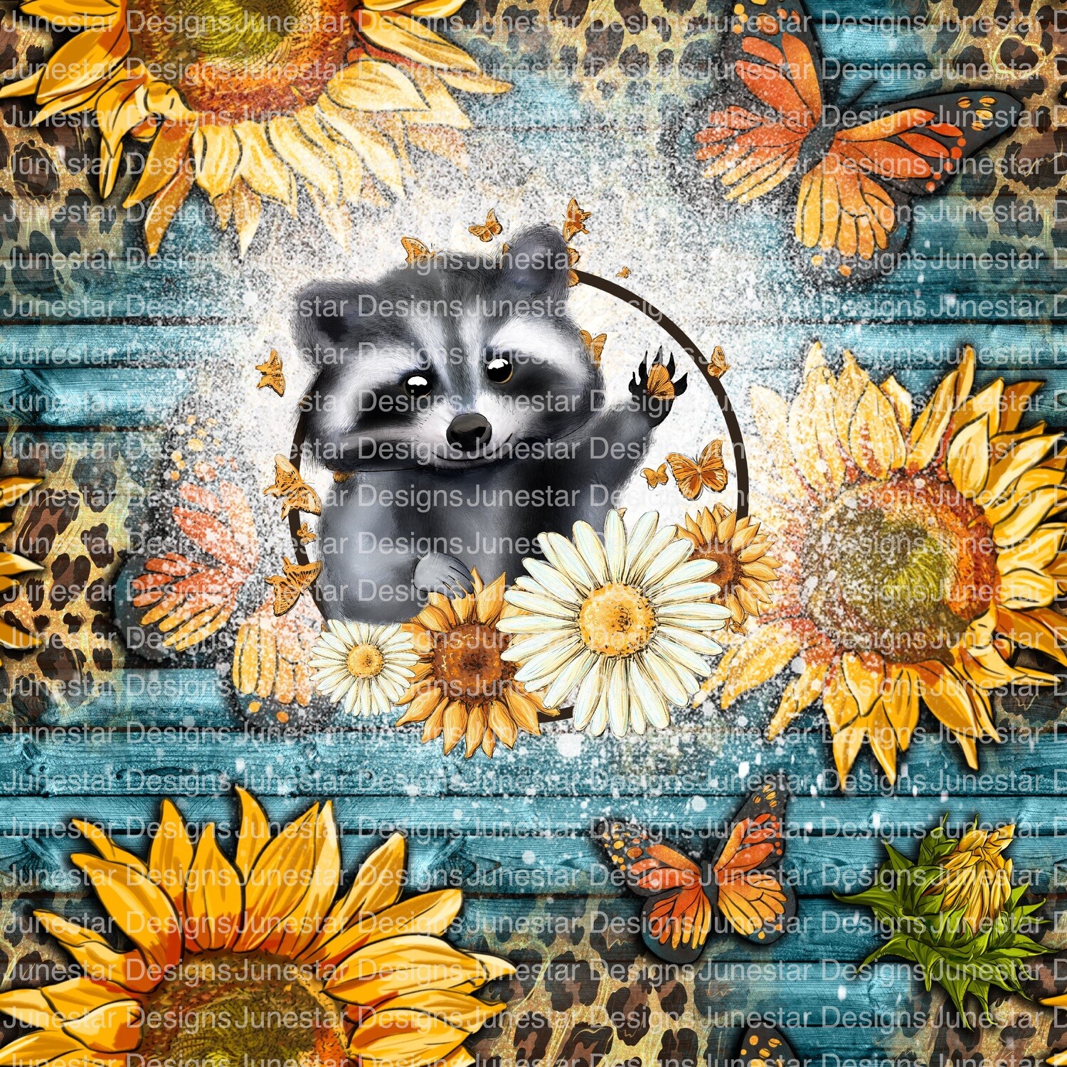 Racoon transfer