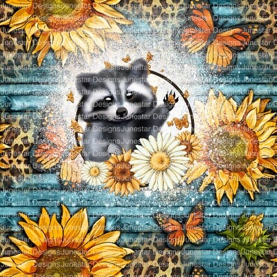 Racoon transfer