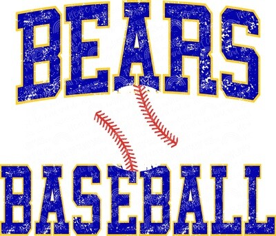 Custom Bears baseball design