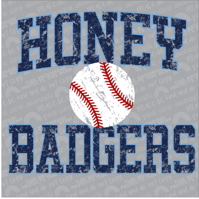 Honey Badgers baseball