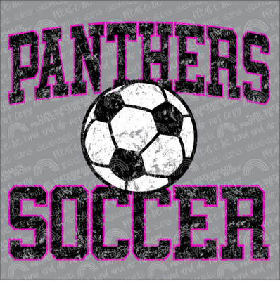 Panthers soccer design