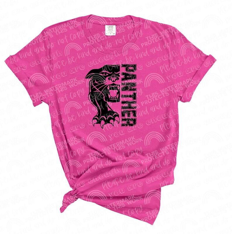 Pink Panthers soccer