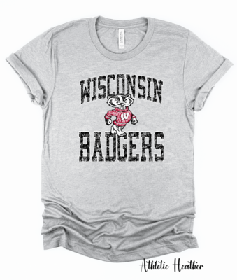Badgers png design