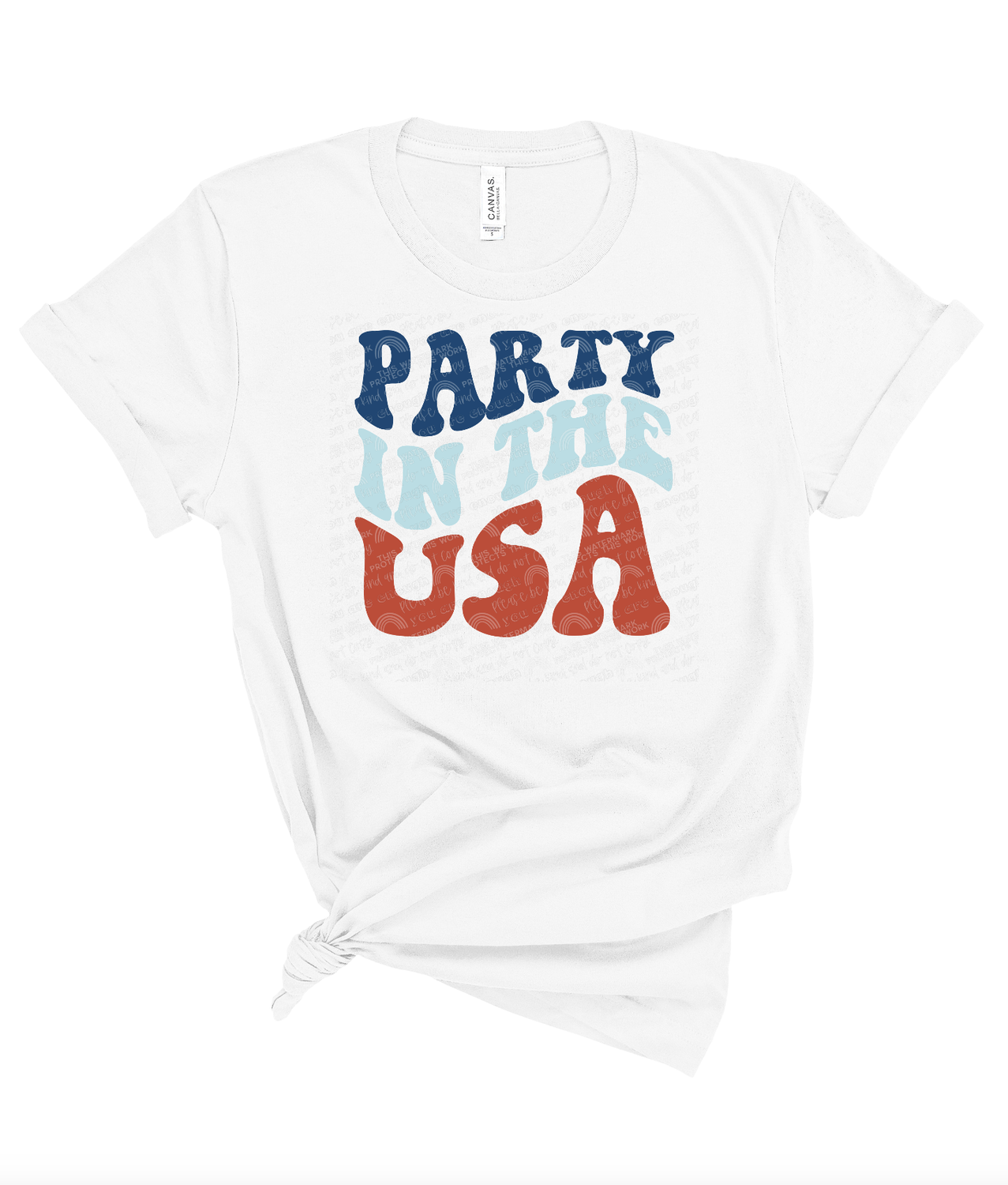 Party in the USA