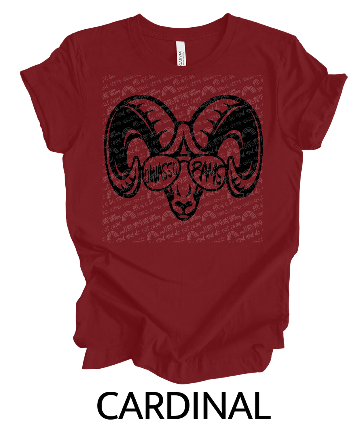 Rams aviators
