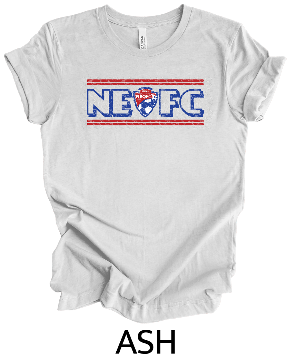 NEOFC outline