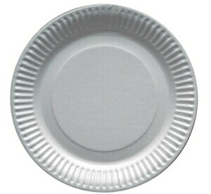 50 ASSIETTES CARTON BLANC D23CM