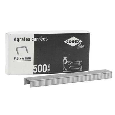 BOITE DE 500 AGRAFES CARREES 6MM