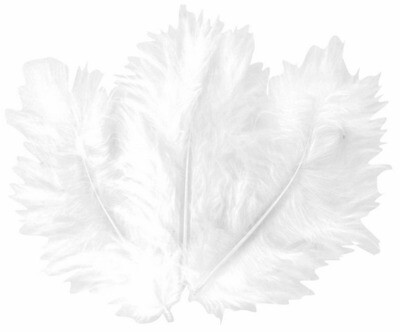 50 PLUMES 10CM BLANCHES