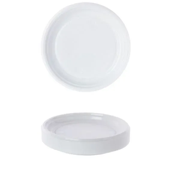 LOT DE 100 ASSIETTES RÉUTILISABLES