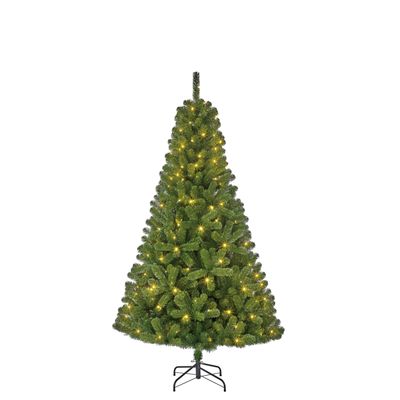 SAPIN CHARLTON LUMINEUX  215CM