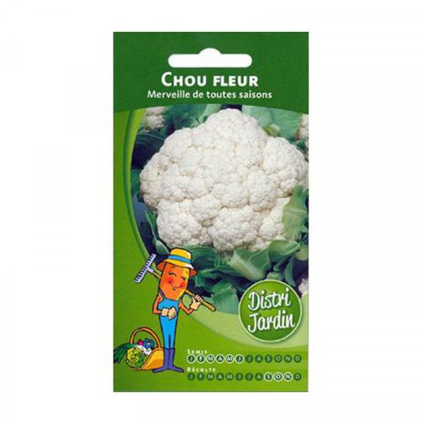 CHOU FLEUR MERVEILLE TOUTES SAISONS 1G