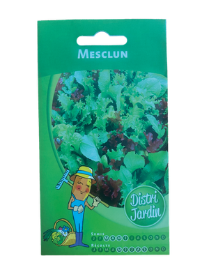 MESCLUM MÉLANGE DE SALADE 2G