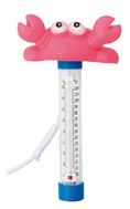 THERMOMÈTRE PISCINE
