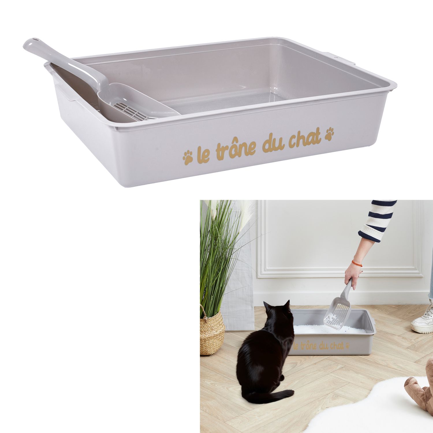 LITIÈRE AVEC PELLE