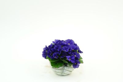 VASE EN CIMENT FORME MAIN DE VIOLETTE